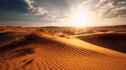 Fototapeta na wymiar Sunny desert 
