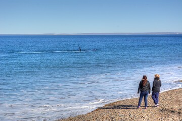 Photo of a couple standing on a beautiful beach overlooking the majestic Southern Right Whale in Argentina
