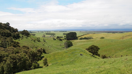 Fototapeta na wymiar Beautiful green rolling hills in New Zealand