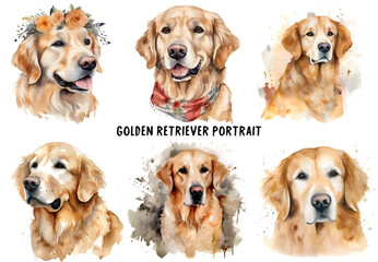 Golden Retriever Portrait Clipart Bundle Illustrations - High Quality Watercolor Cliparts