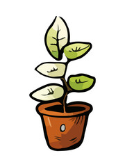 Plant in pot vector illustration. Cartoon flat different indoor potted decorative houseplant for interior home or office decoration, green garden floral icon isolated on white.