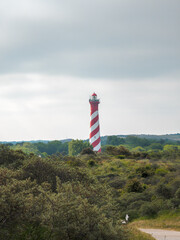 Natur pur in Nieuw Haamstede - Zeeland