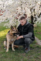 a handsome man in the spring near a blooming plum tree with a shepherd dog. with a dog in the spring garden, family spring photo. dog is man's friend