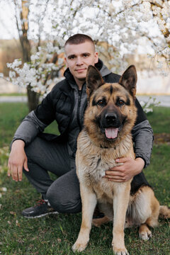 a handsome man in the spring near a blooming plum tree with a shepherd dog. with a dog in the spring garden, family spring photo. dog is man's friend