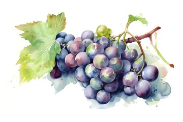 Watercolor bunch of grapes on white background. Generative AI.