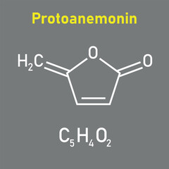 Chemical structure of Protoanemonin (C5H4O2). Chemical resources for teachers and students. Vector illustration isolated on white background.