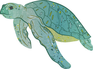 Sea Turtle Ocean Life 1
