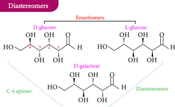 Vector illustration of diastereomer,enantiomers,D-glucose ,L-glucose ,D-galactose
