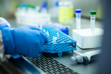 cell culture at the laboratory