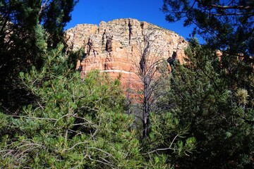 A Bright, Sunlit Arizona Mountain with Richly Colored Layers, Framed by Foreground Trees