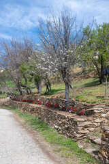 Fototapeta premium Panorama of Village of Dolene, Bulgaria