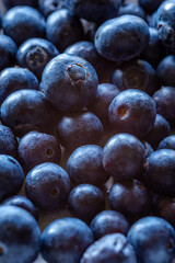 closeup of a bunch of blueberries