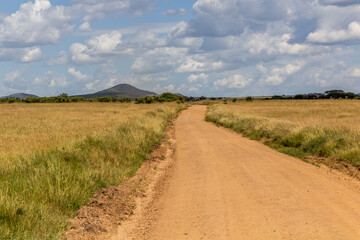 Fototapeta na wymiar Tracks in Masai Mara National Reserve, Kenya