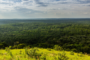 Fototapeta premium Aerial view of Kakamega Forest Reserve, Kenya
