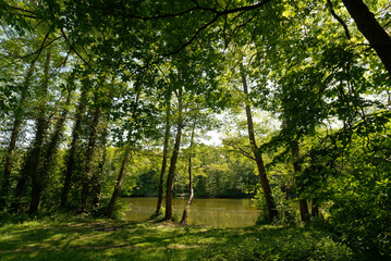 Deutschland - Baden-Württemberg - Freiburg im Breisgau - Kleiner Opfinger See