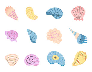 Sea schell, conches of sea snail vector.Colorful shell, ocean conch, rief