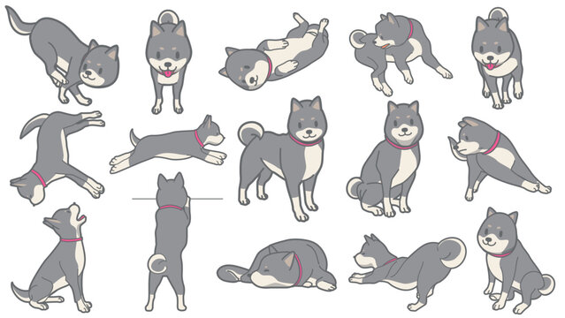 黒柴のベクターイラストセット