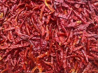 red pepper, chili pepper, hot pepper, red chili