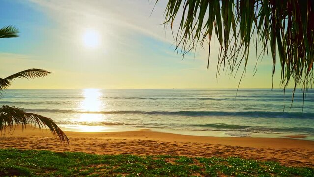 Beautiful coconut palm trees on the beach Phuket Thailand. Amazing sea beach Islands Palms leafs Palms grove over sea with beautiful sunset or sunrise sky Summer landscape amazing background