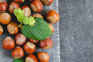  organic ripe hazelnuts. Hazelnuts on a gray wooden board on a gray slate background.. Fresh harvest of hazelnuts.view from above