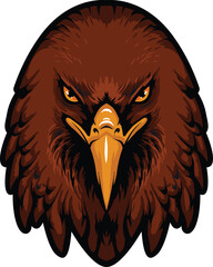 Eagle Face Illustration. Vector.