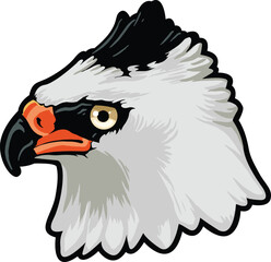 Eagle Face Illustration. Vector.