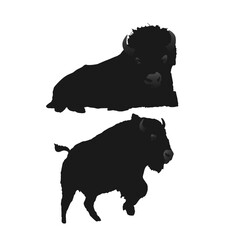 sihlouette two bison animals are side by side, one of which is a bison.