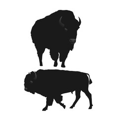 A black and white image of sihlouette two bison © nanda
