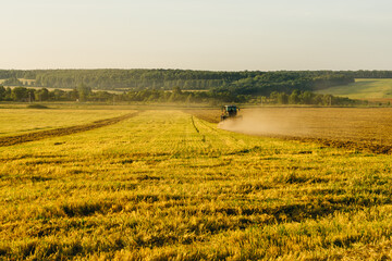 landscape with field of wheat