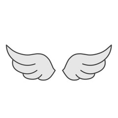 Wings vector illustration