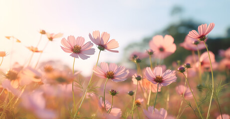 Fields full of flowers in summertime, soft color fields, light orange and pink, landscape-focused, light yellow and pink. Generative Ai.