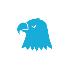 election icon