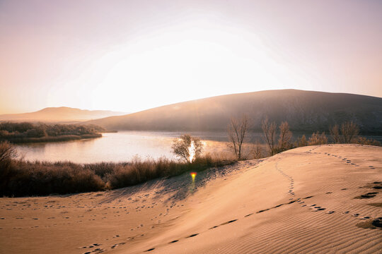 Bruneau Sand Dunes 
