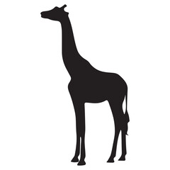 vector drawing silhouette of a giraffe