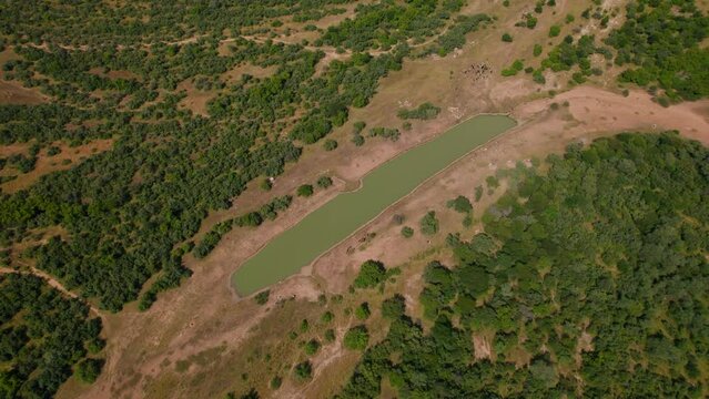 A lake in the middle of the bush in Africa, from a drone. The lake is half dry, in the middle of a desert patch, with trees surrounding the sand
