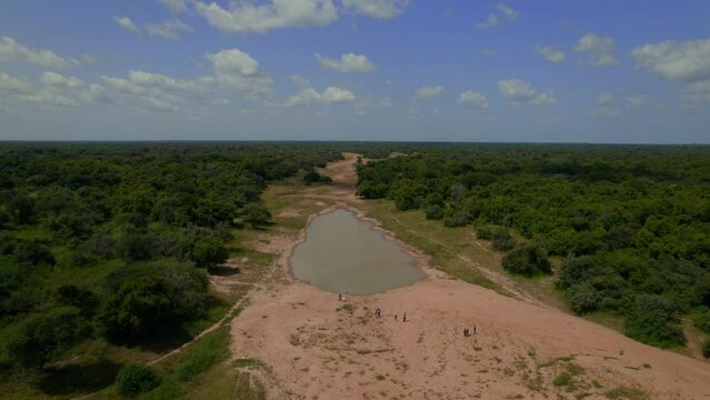 A lake in the middle of the bush in Africa, from a drone. The lake is half dry, in the middle of a desert patch, with trees surrounding the sand