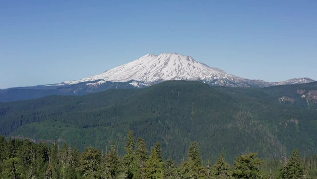 Aerial of Mount St Helens active stratovolcano looming over forest below