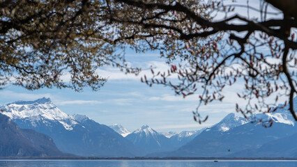 Mountain and Water Background View. Lake Geneva Vevey, Swistzerland.