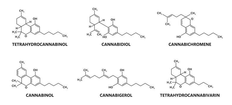 Cannabinoid molecule structure. Cannabinoid compound vector formula. Psychoactive Tetrahydrocannabinol, Canabidiol, Cannabigerol and Cannabinol, Tetrahydrocannabivarin, Cannabichromene molecule scheme