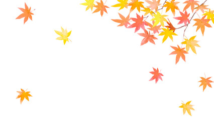 水彩で描いたもみじの背景