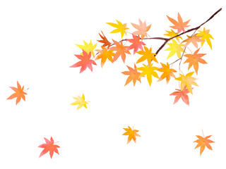 水彩で描いたもみじの背景	