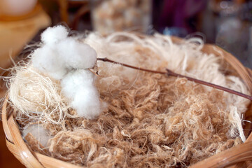 Cotton flowers and natural fibers from cotton in bamboo baskets are used to make yarn for...