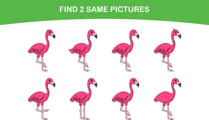 Cute flamingo bird. Find two same pictures. Educational game for children. Cartoon vector illustration