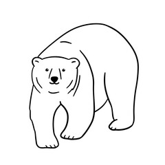 White polar bear line sketch. Outline vector illustration of forest animal.