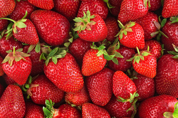 Background from freshly harvested strawberries, top view. Food background.