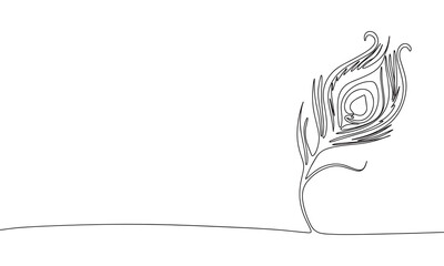 Peacock feather as one line continuous outline vector illustration. Line art peacock feather isolated on white background in minimal style.