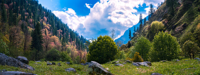 Panorama of the mountains. Scenic view on Dev Kyara trek,  high-altitude autumn forest meadow in the Govind Vallabh National Park, Uttarakhand, India. © Kunal