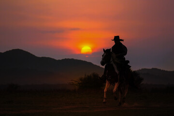Silhouette of cowboy on horseback and sunset as background - 608909044