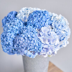 Beautiful blue hydrangea flowers in a vase on a table . Bouquet of blue pink flower. Decoration of home. Wallpaper and background. fuchsia color © malkovkosta