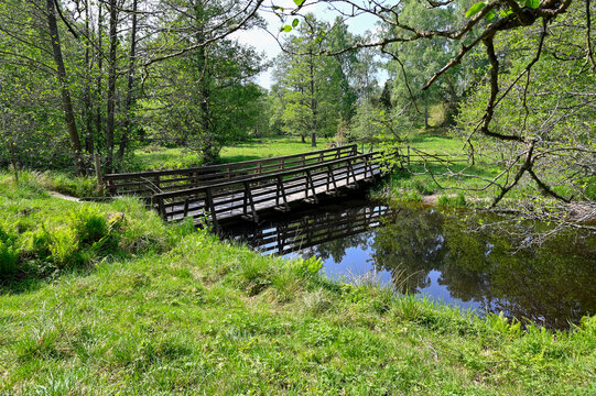 Footbridge over small stream of water Lekeberg Sweden
